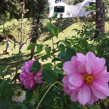 Pousada Igloo Campos do Jordão 외부 사진